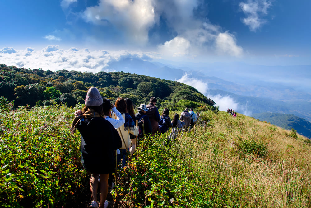 Group of people trekking through Kew Mae Pan Nature Trail in Doi Inthanon