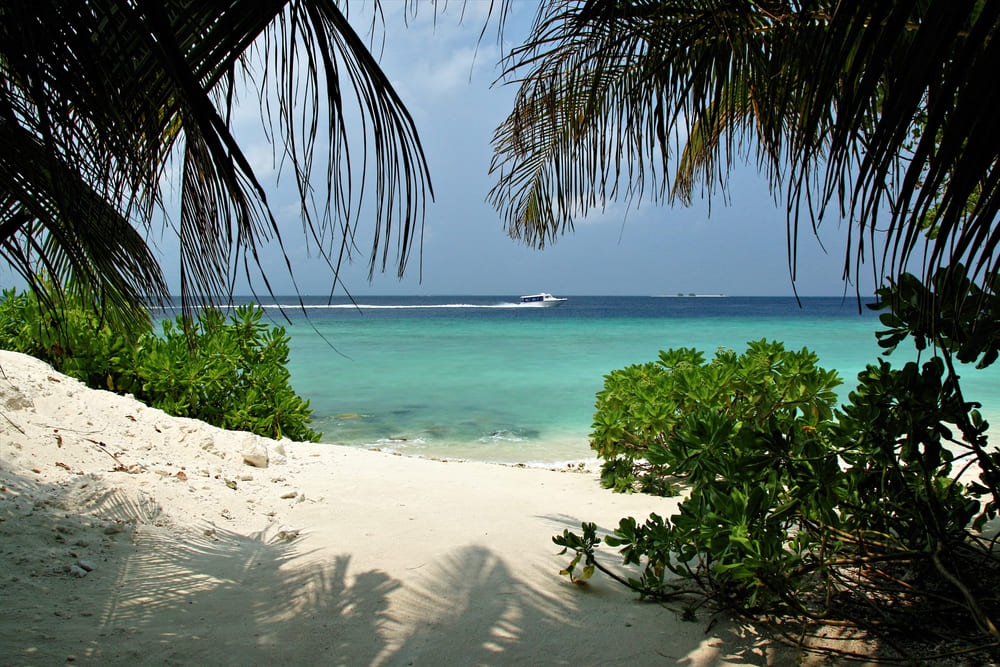 Ukulhas ที่เที่ยวเกาะมัลดีฟส์
