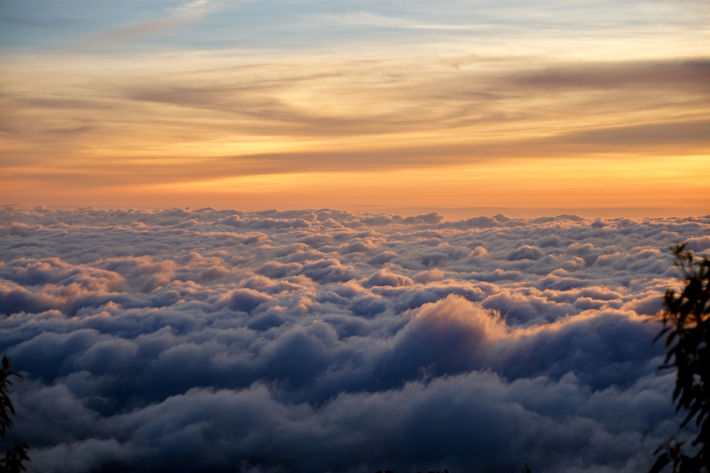 Sea of mist during sunrise at Doi Pha Hom Pok, Chiang Mai