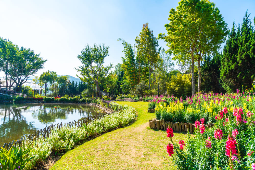 Garden at Inthanon Royal Project