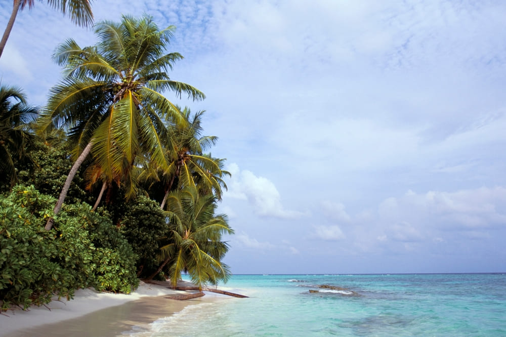 Kunfunadhoo ที่เที่ยวเกาะมัลดีฟส์
