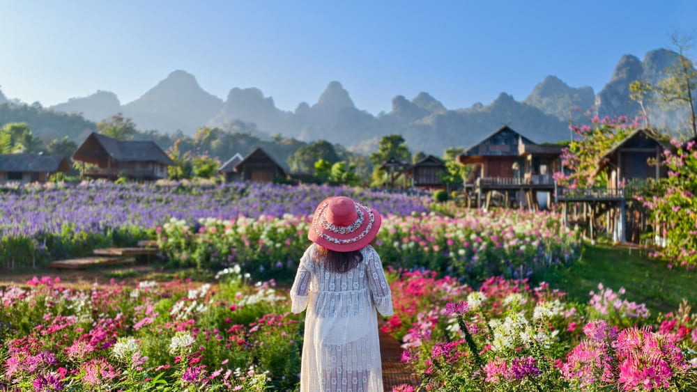 ไร่ภูผาหมวก ที่เที่ยวดอยอินทนนท์