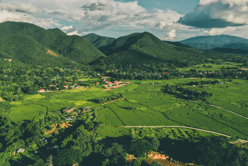 Rice fields and mountains in Pai