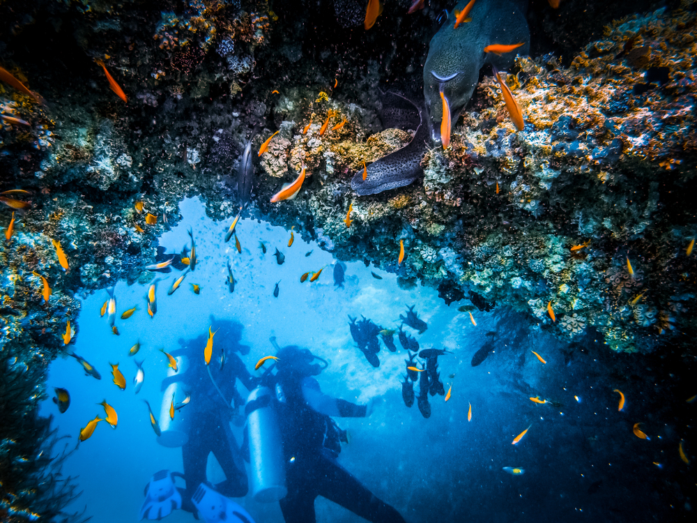 People scuba diving through a cave with lots of fish