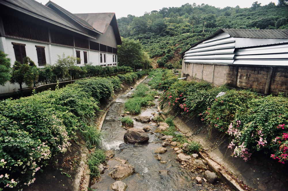 ที่เที่ยวภาคเหนือ ชุมชนบ้านยาง จังหวัดเชียงใหม่