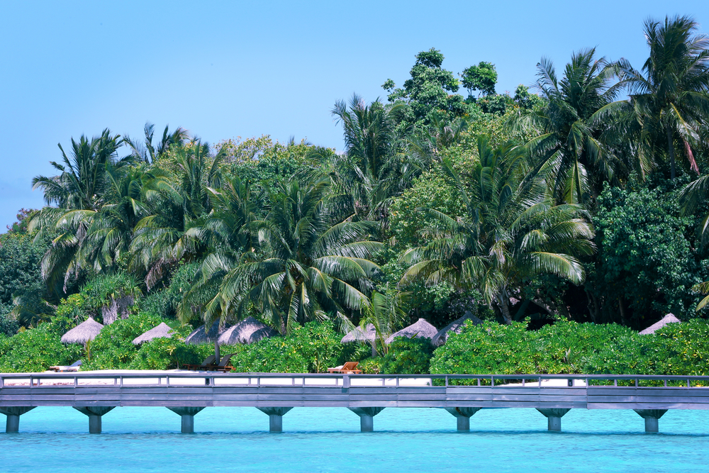 Tropical jungle next to blue seawater in Baros, Maldives