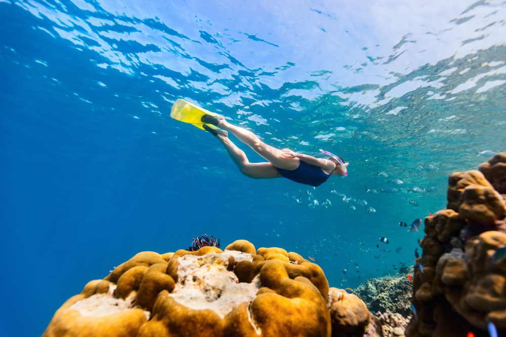 Woman snorkelling above corals