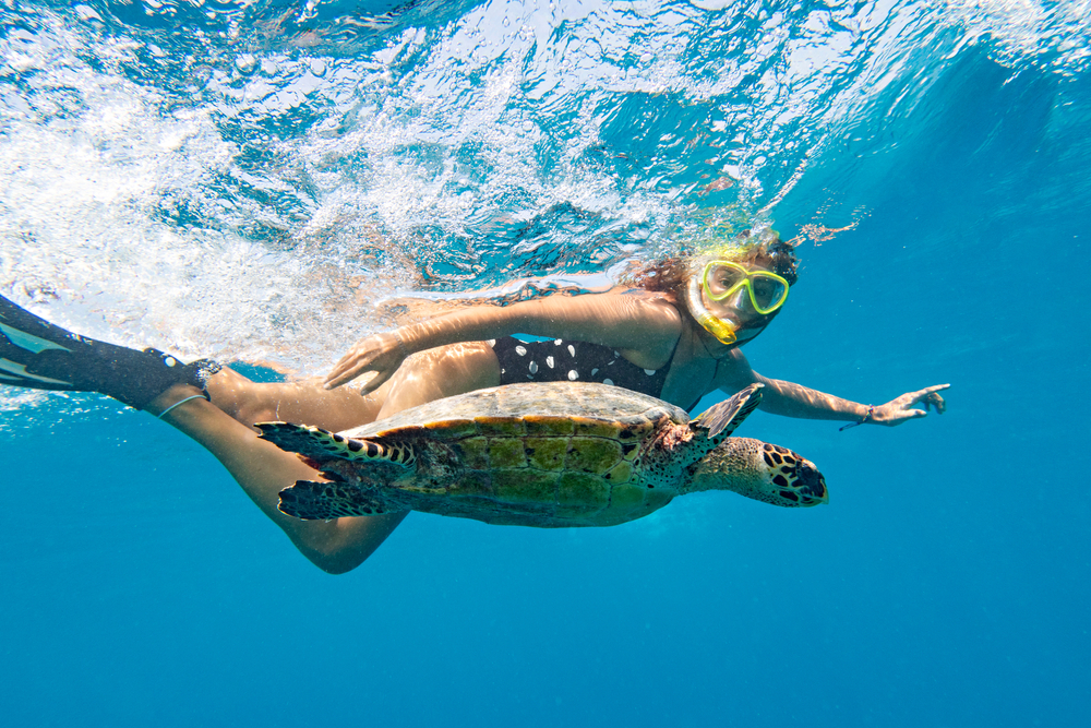 Woman snorkeling next to sea turtle