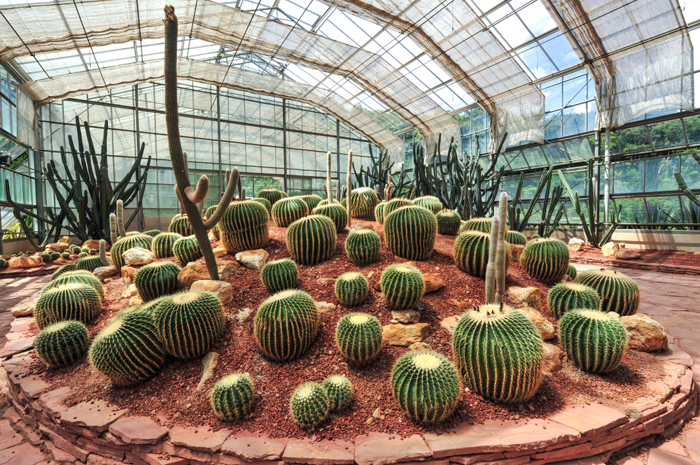 The glasshouse at Queen Sirikit Botanic Garden