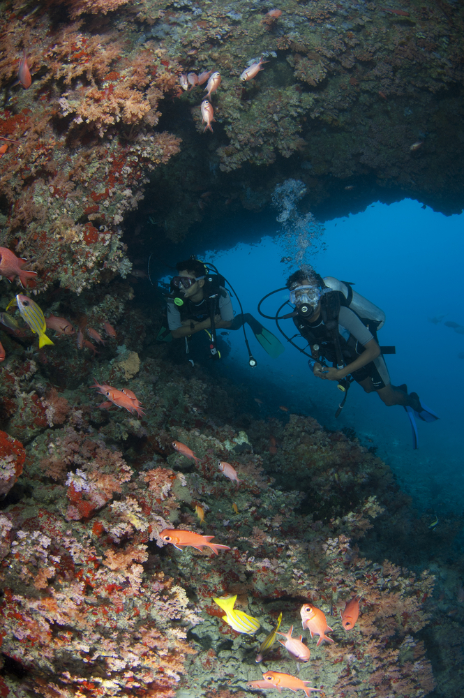 ลอดผ่านปล่องไฟใต้น้ำที่เต็มไปด้วยแนวปะการัง ที่ HP Reef