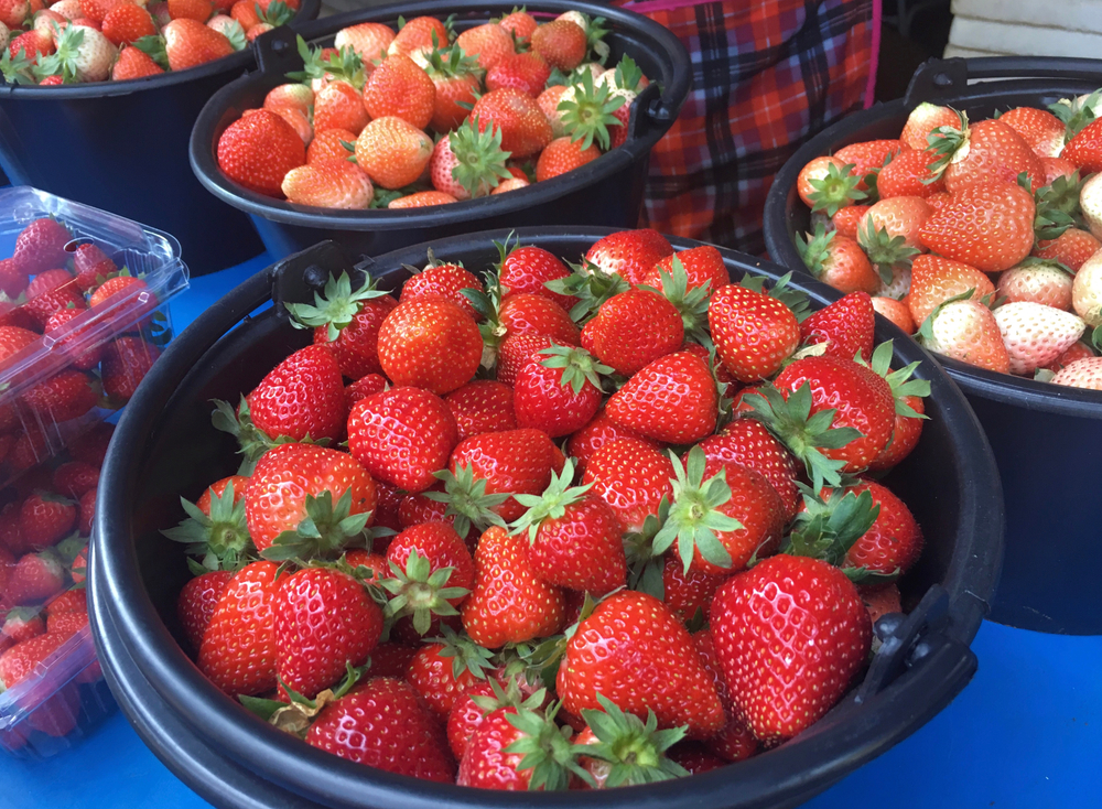 Strawberries at Mon Jam, Chiang Mai