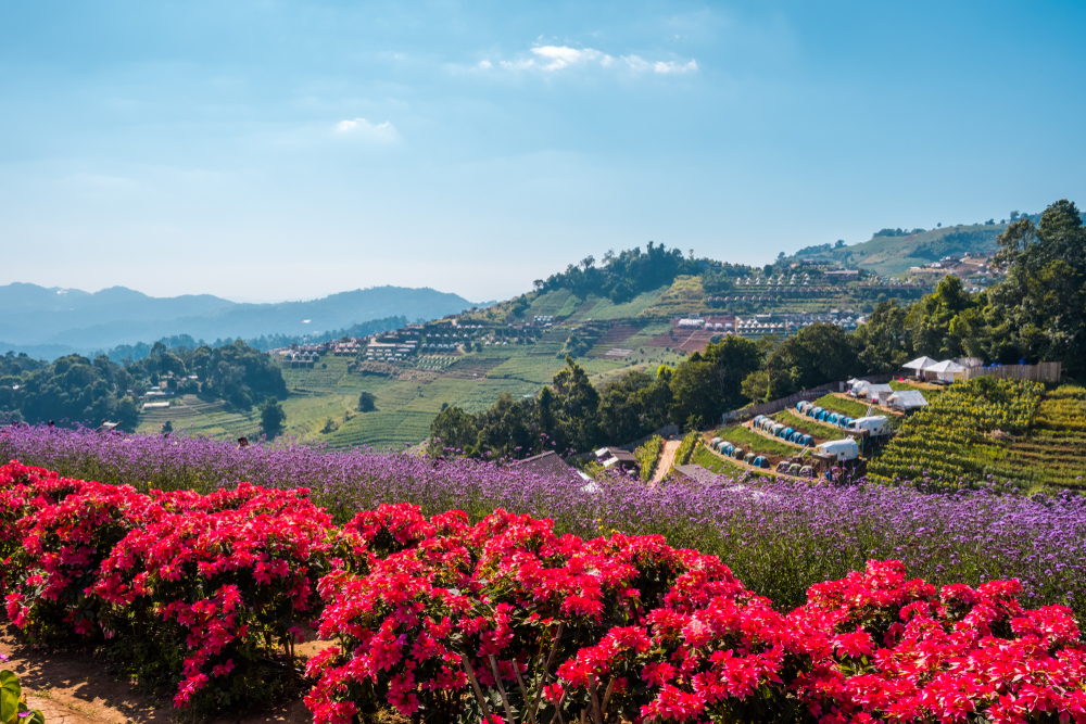 ม่อนแจ่ม จังหวัดเชียงใหม่