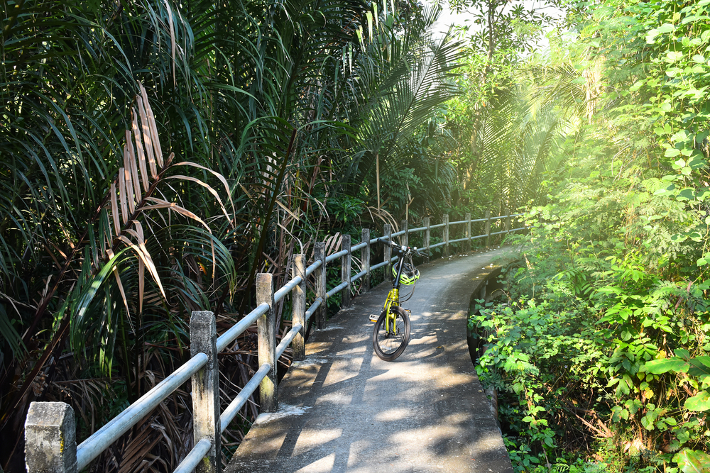 A bike on a bike lane amid green trees in Bang Kachao