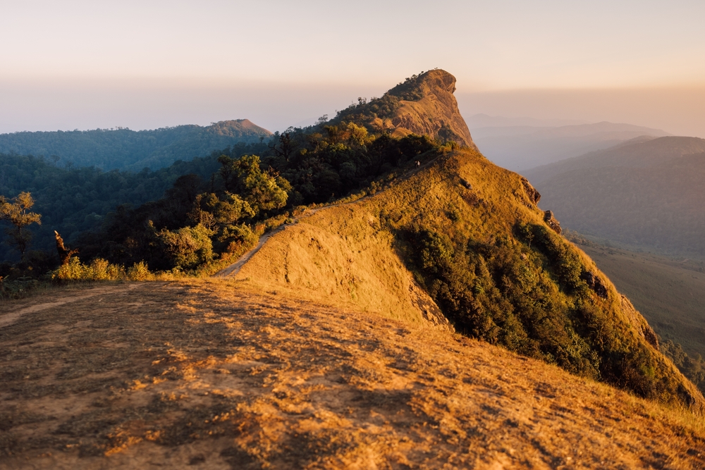 ที่เที่ยวธรรมชาติในไทย ดอยม่อนจอง จังหวัดเชียงใหม่