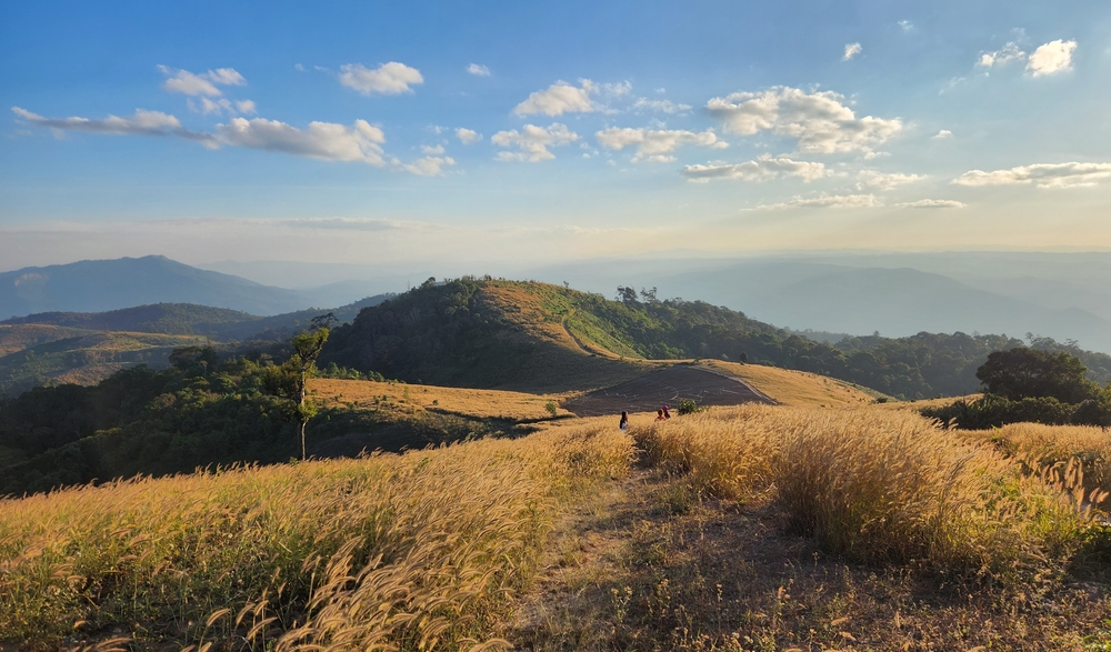 ที่เที่ยวธรรมชาติในไทย ดอยบ่าโจ๊ะโข่ว จังหวัดเชียงใหม่
