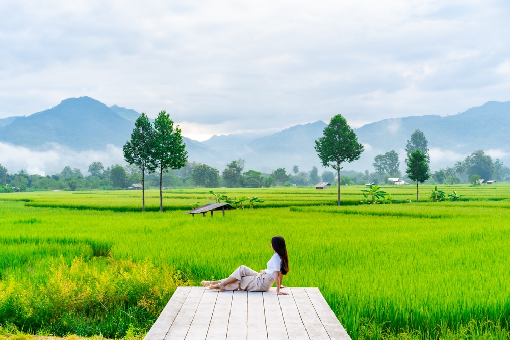 นาข้าวที่สะปัน จังหวัดน่าน ที่เที่ยวเมืองรองของภาคเหนือ