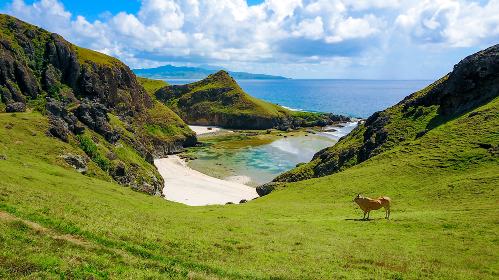 Green field with hills and blue ocean in Batanes