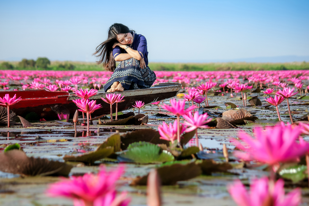 ทะเลบัวแดง จังหวัดอุดรธานี ที่เที่ยวเมืองรองของภาคอีสาน