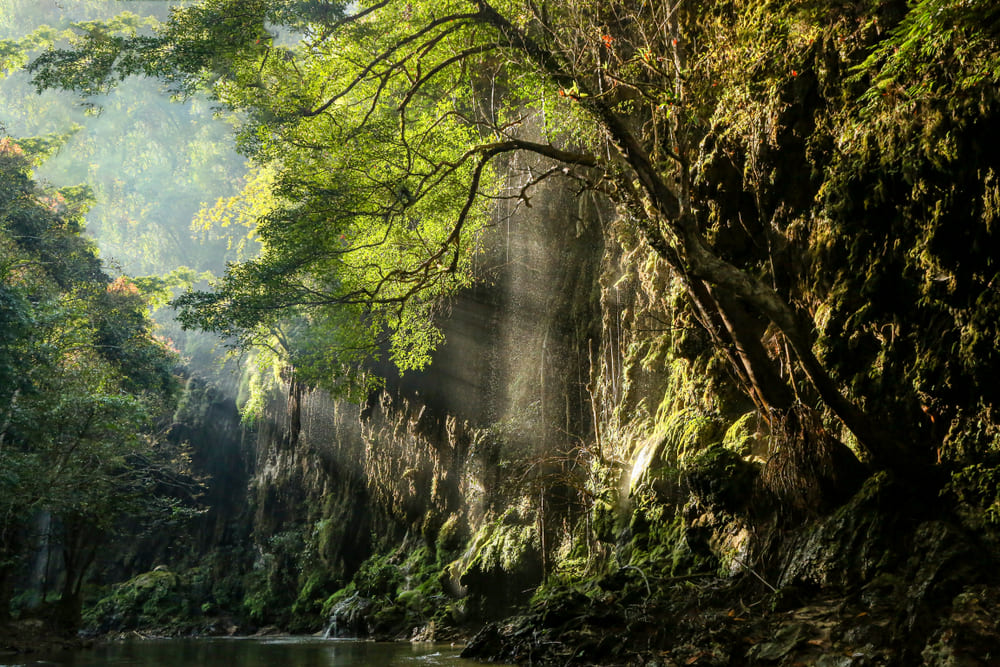 Umphang Wildlife Sanctuary, Tak, Thailand