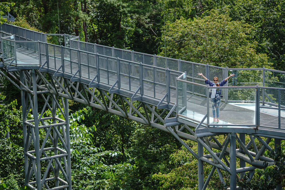 สวนพฤกษศาสตร์สมเด็จพระนางเจ้าสิริกิติ์ ม่อนแจ่ม จังหวัดเชียงใหม่