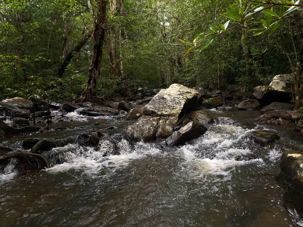 ที่เที่ยวธรรมชาติในไทย น้ำตกห้วยน้ำเย็น จังหวัดเชียงใหม่