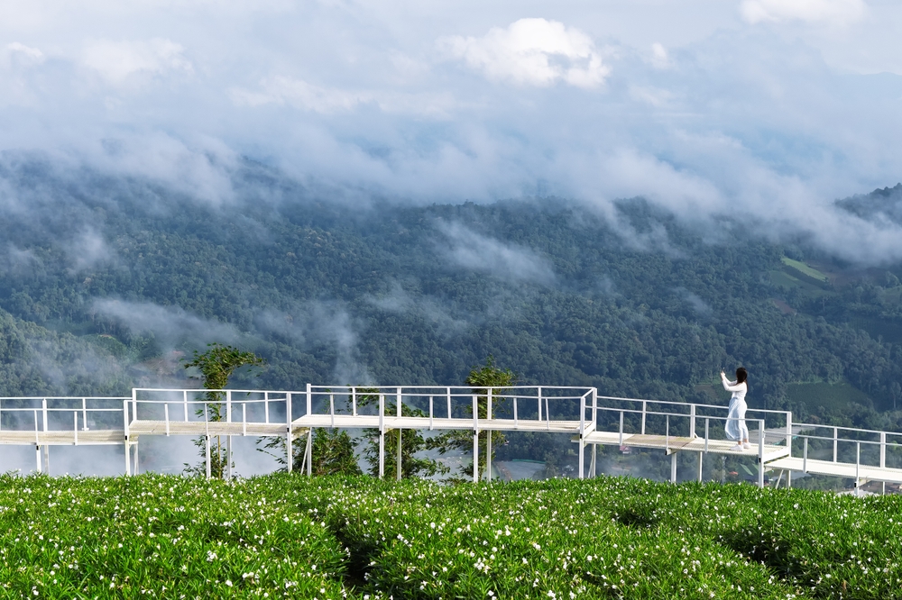 ยิ่งยงสวนดอกไม้ ม่อนแจ่ม จังหวัดเชียงใหม่