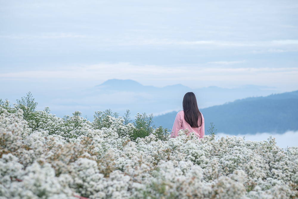 ม่อนแจ่ม จังหวัดเชียงใหม่ ที่เที่ยวหน้าหนาวในไทย