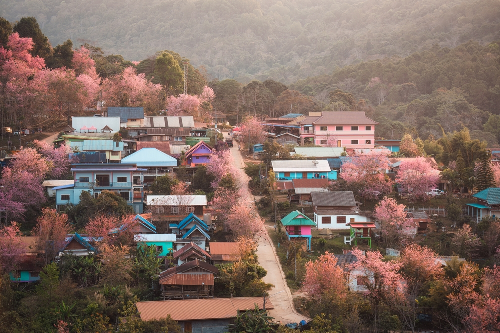 บ้านร่องกล้า จังหวัดพิษณุโลก ที่เที่ยวหน้าหนาวในไทย