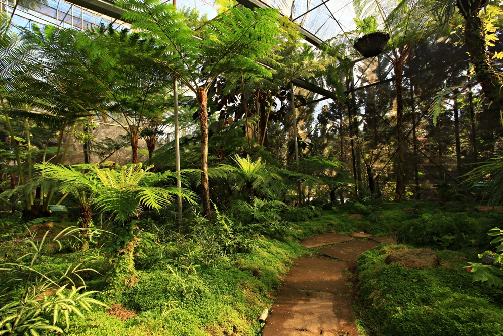 สถานีเกษตรหลวงอินทนนท์ ในเขตอุทยานแห่งชาติดอยอินทนนท์ จังหวัดเชียงใหม่