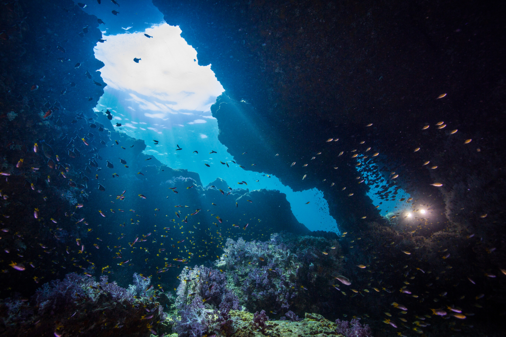Diving at Koh Haa Yai, Koh Lanta, Krabi