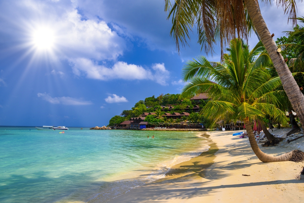 Coconut trees on Haad Yao Beach in Koh Phangan