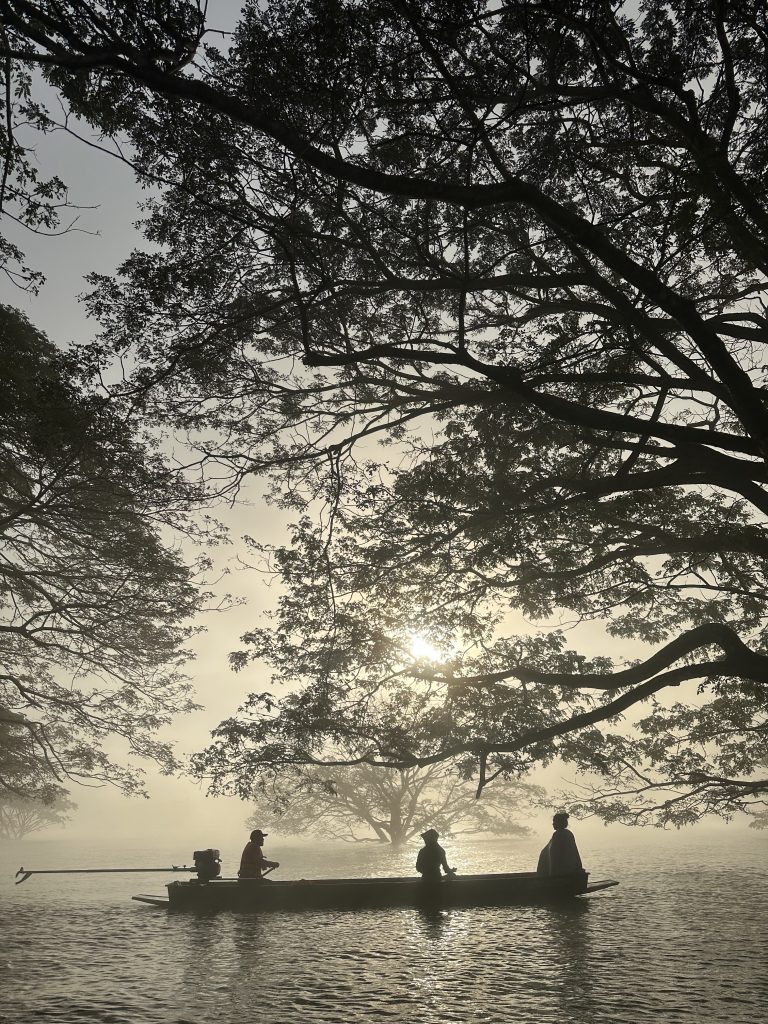 ต้นฉำฉากลางน้ำ จังหวัดเชียงใหม่ ที่เที่ยวกับแฟน ช่วงวันวาเลนไทน์