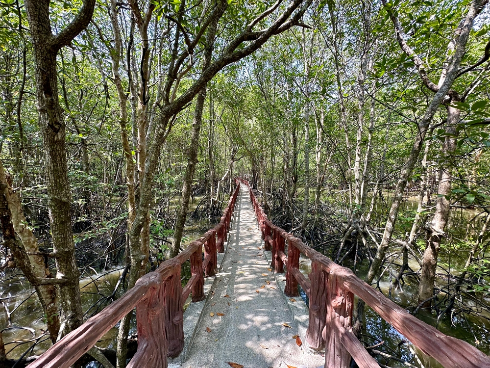 เดินชิลรับอากาศบริสุทธิ์ที่ป่าในเมือง จังหวัดกระบี่