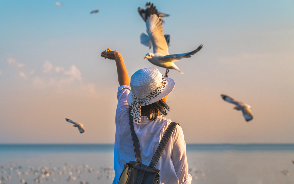 สถานตากอากาศบางปู จังหวัดสมุทรปราการ ที่เที่ยวผู้สูงอายุ