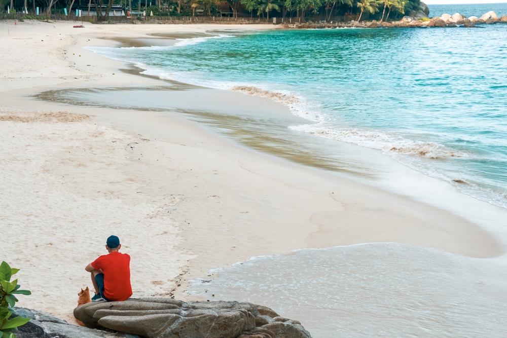 พาหมาเที่ยว หาดฟรีดอม จังหวัดภูเก็ต ที่เที่ยว Pet-Friendly