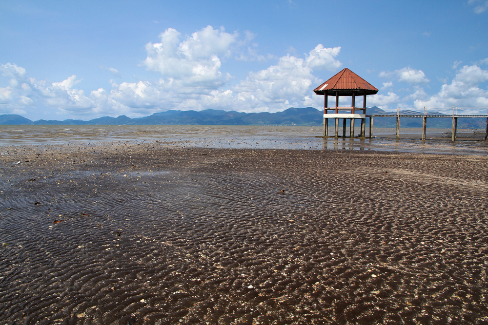 พาหมาเที่ยว หาดทรายดำ จังหวัดตราด ที่เที่ยว Pet-Friendly