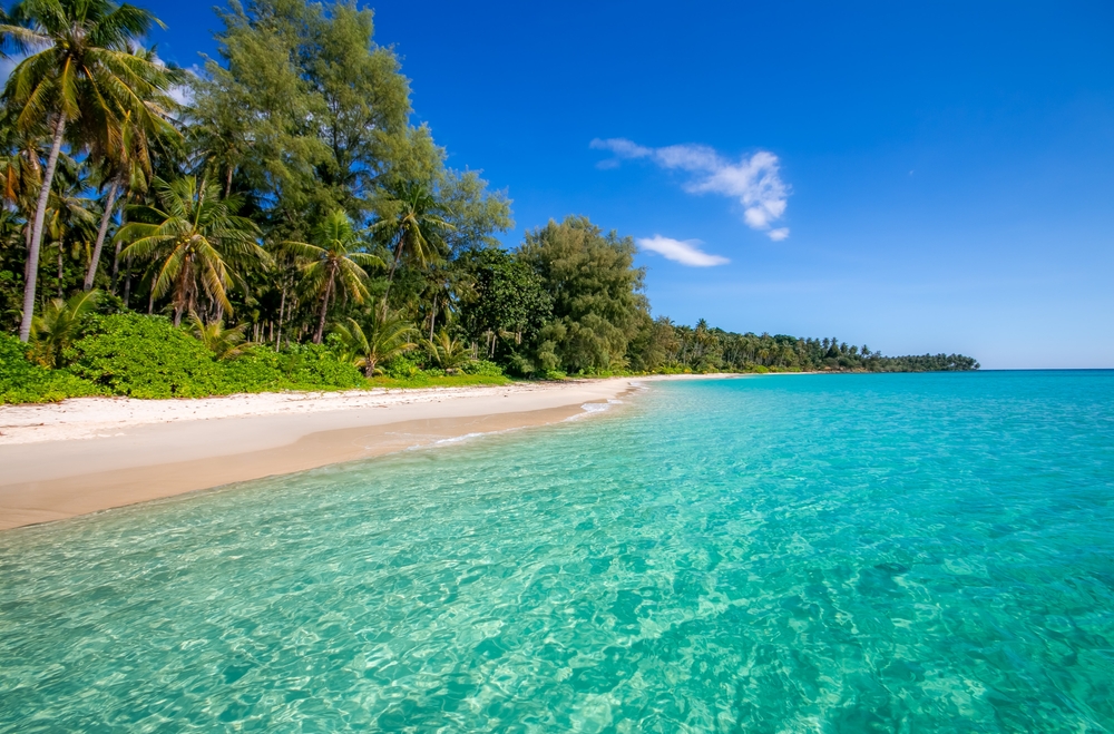 พาหมาเที่ยว เกาะหมาก จังหวัดตราด ที่เที่ยว Pet-Friendly