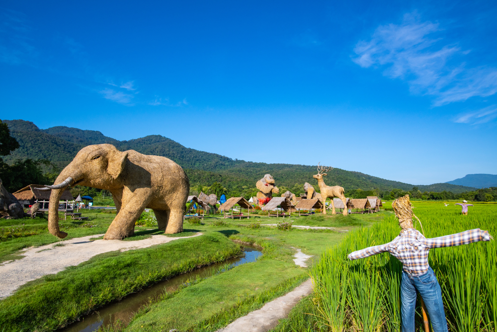 พาหมาเที่ยว ห้วยตึงเฒ่า จังหวัดเชียงใหม่ ที่เที่ยว Pet-Friendly