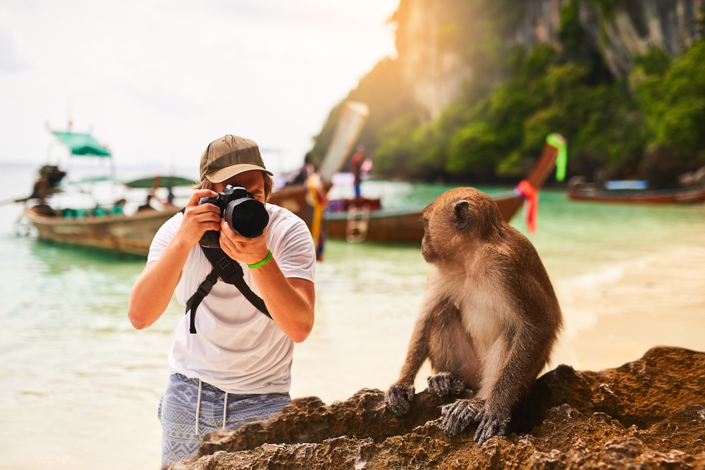 A man taking a photo of a monkey on a rock at Monkey Beach in Koh Phi Phi