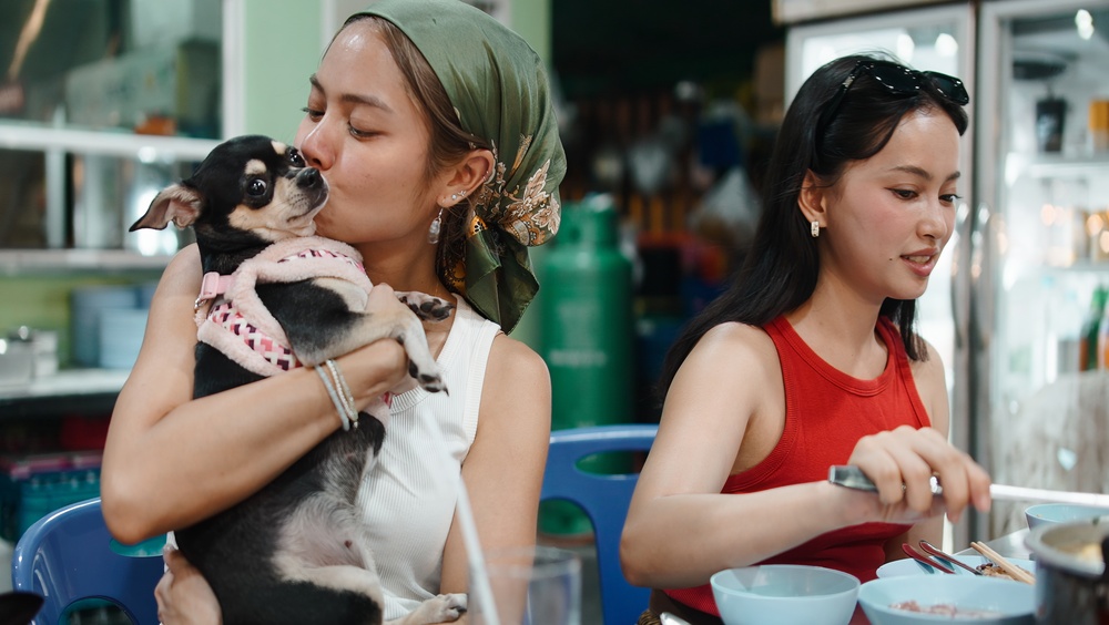 พาหมาเที่ยวในที่เที่ยว Pet-Friendly แบบนอนค้างคืน ฟินไปด้วยกัน
