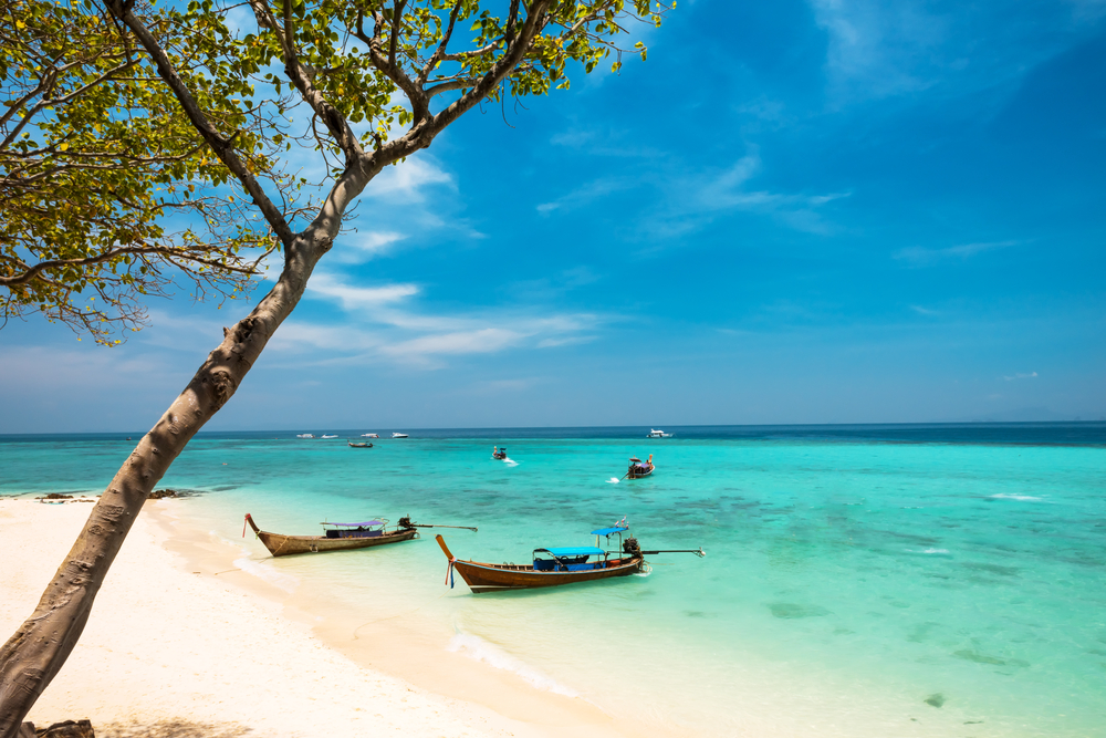 Long tail boats anchored in turquoise seawater next to a white sand beach with a lone tree on Bamboo Island in Koh Phi Phi