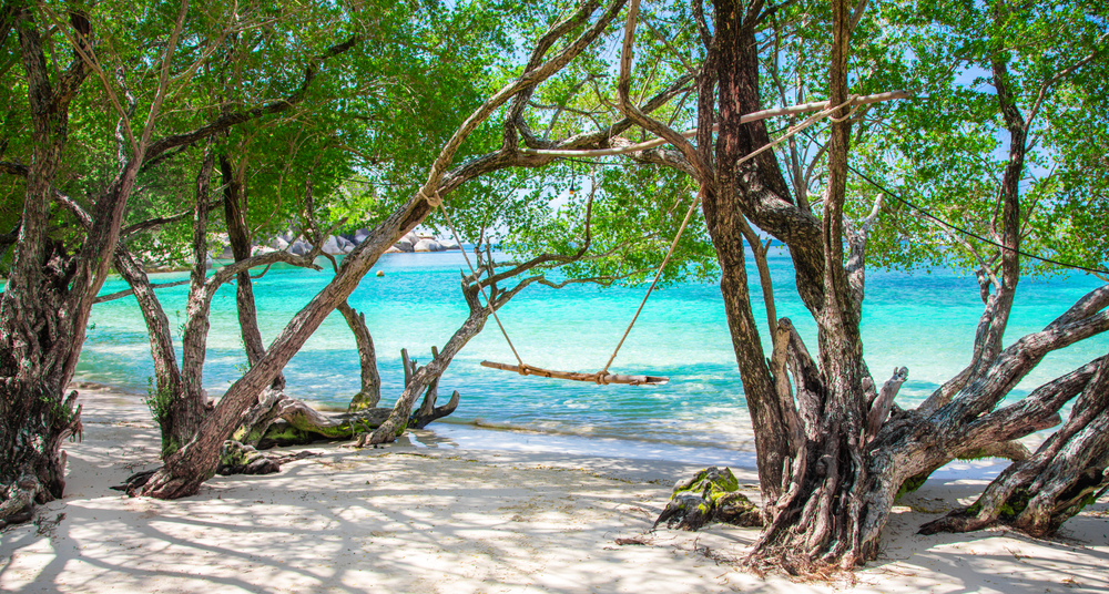 Wooden stick hung on trees at Freedom Beach on Koh Tao, with crystal-clear sea waters in the back