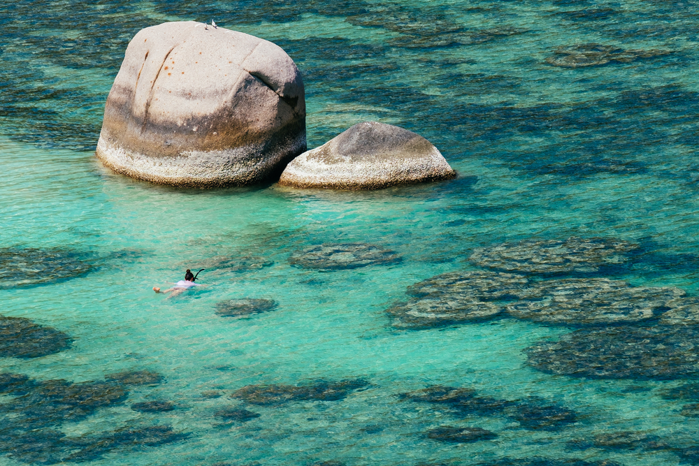เกาะนางยวน (Nang Yuan Pinnacle) จุดดำน้ำตื้นที่เกาะเต่า จังหวัดสุราษฎร์ธานี