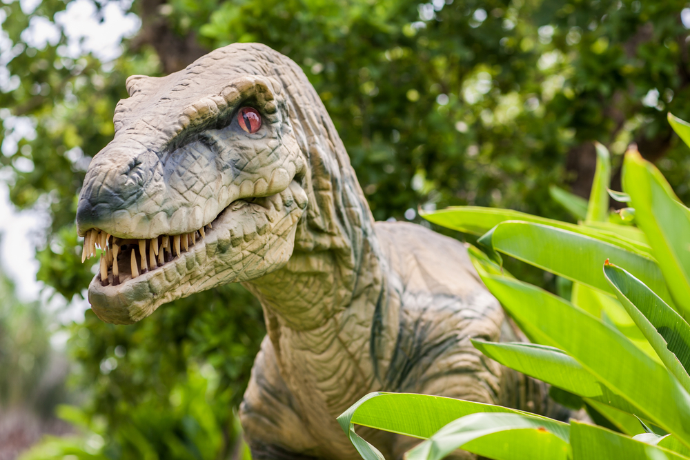 Dino Park Phuket เที่ยวใกล้หาดกะรนและหาดกะตะ จังหวัดภูเก็ต