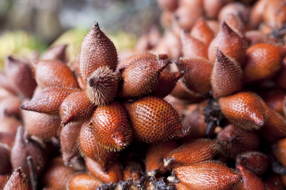 สละสุมาลี ของทานเมืองตราด ในช่วงลมตะโก้ (เดือนกันยายน-พฤศจิกายน)