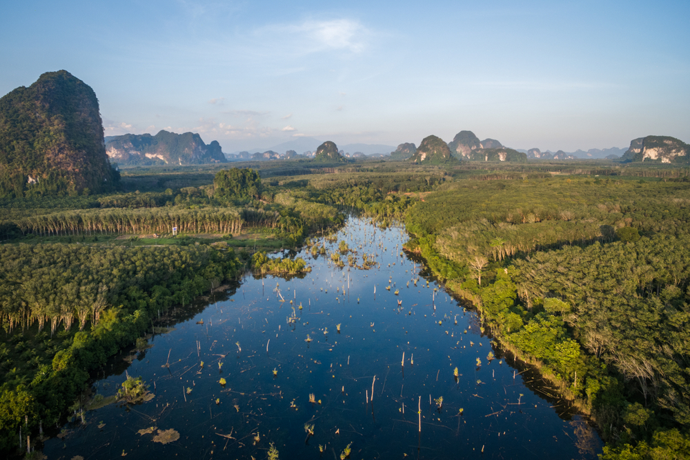 คลองน้ำใส คลองน้ำใส จุด Unseen เมืองกระบี่ ใกล้สระมรกต