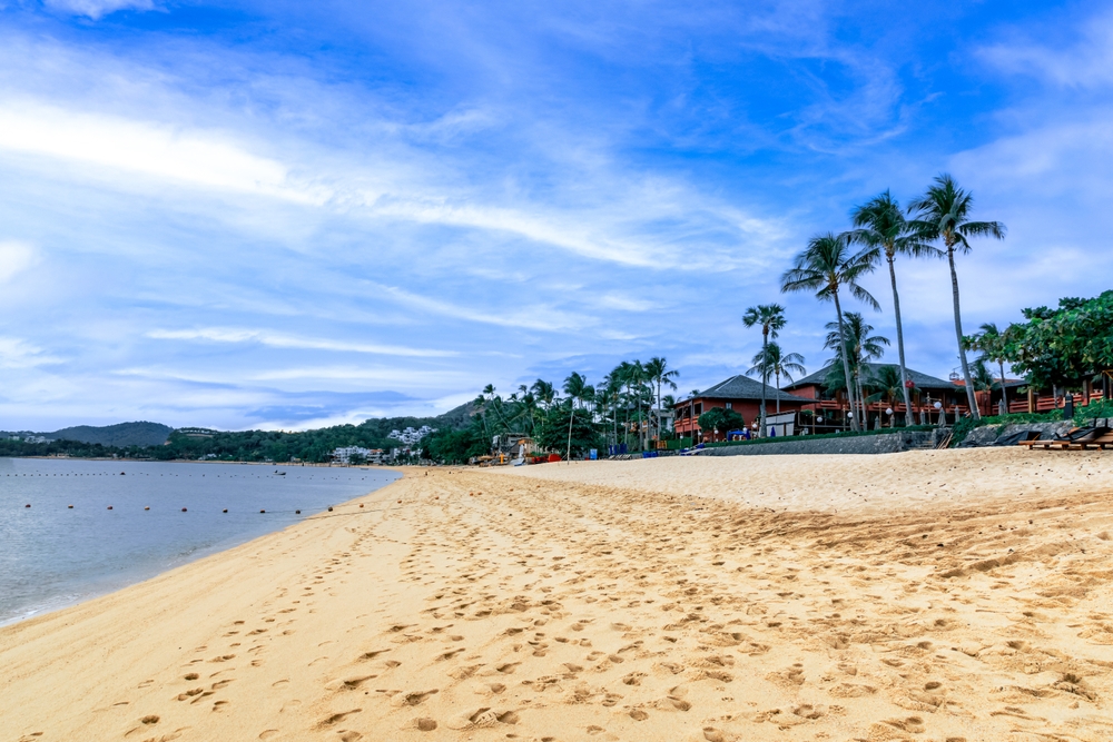 Bo Phut Beach with coconut trees