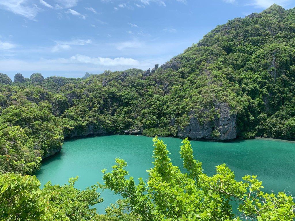 ใจกลางเกาะแม่เกาะ ในเขตอุทยานแห่งชาติหมู่เกาะอ่างทอง