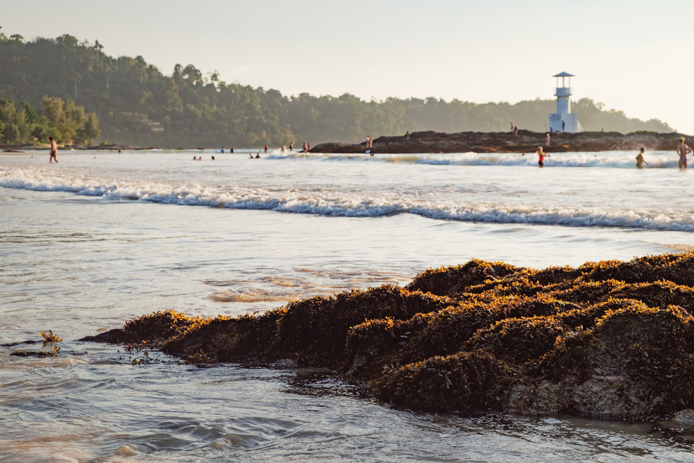 หาดนางทอง อุทยานแห่งชาติเขาหลัก-ลำรู่ ที่เที่ยวพังงา