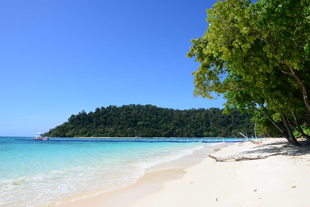 Koh Rok, Krabi